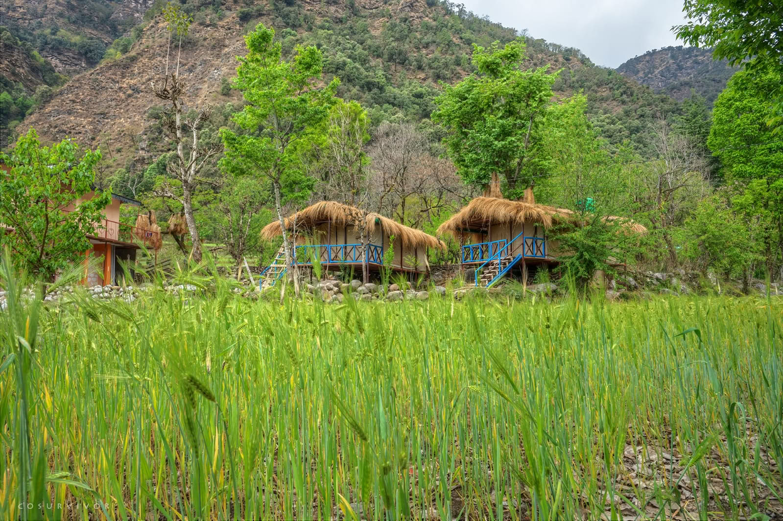Bhaavanaa Retreat – June 6th to 13th, 2026