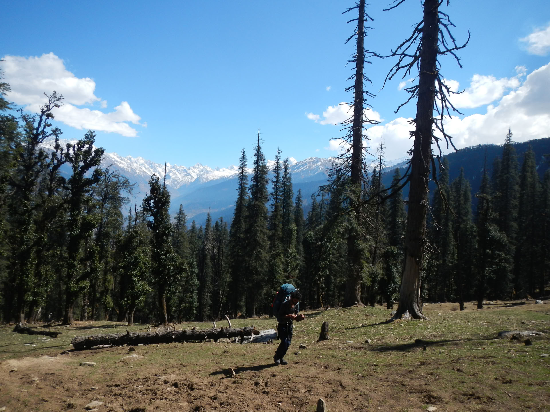 Kedarkantha Trek