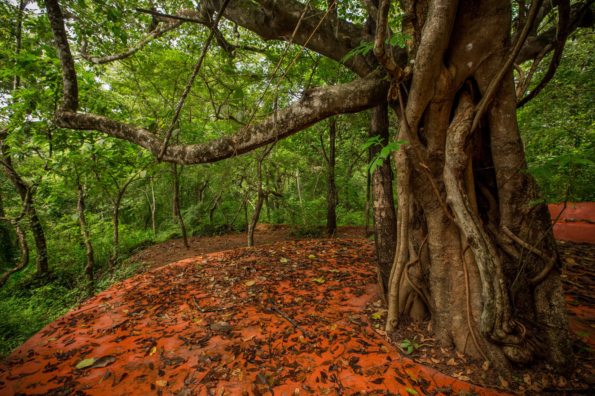 Saundarya Yoga Retreat