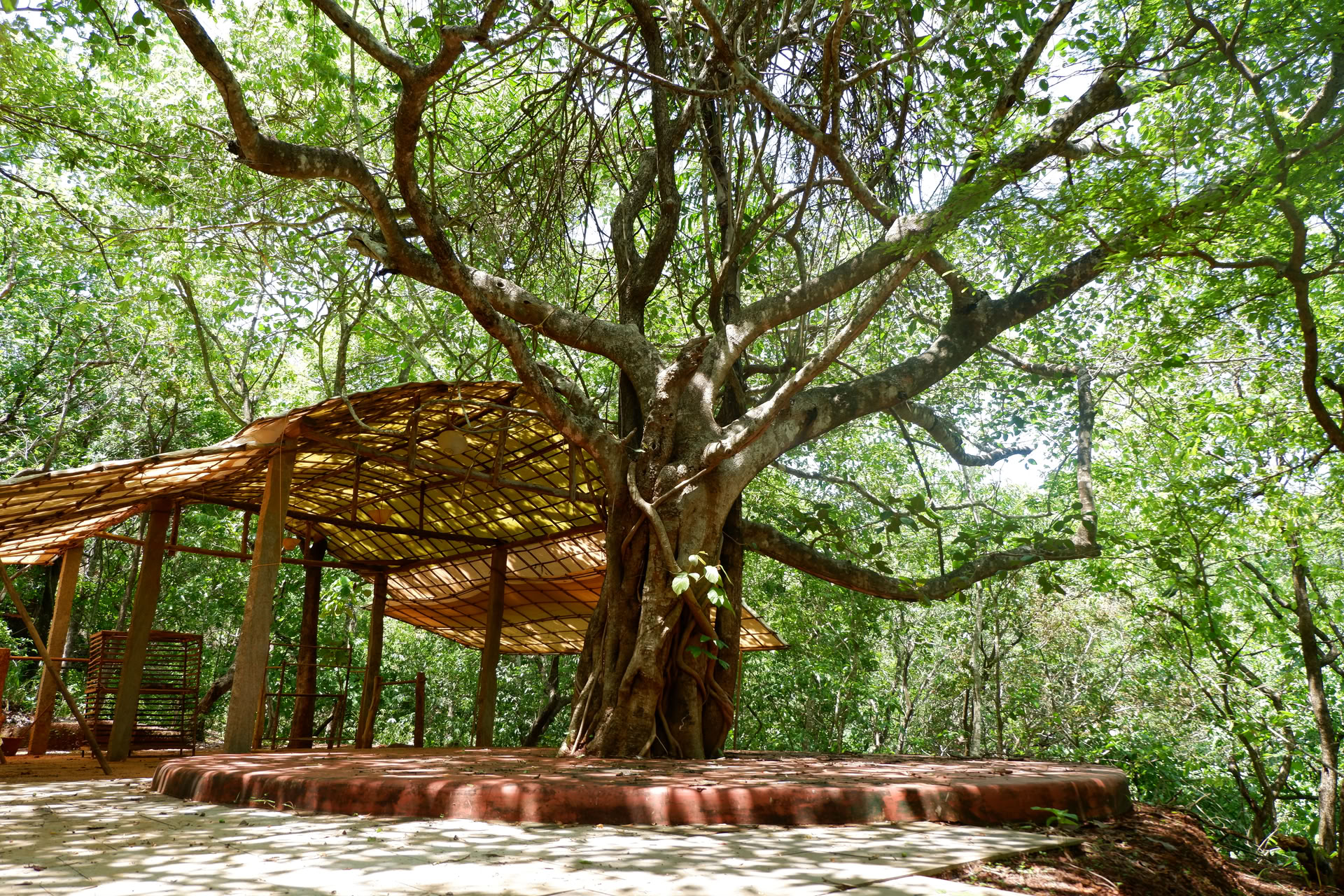 Saundarya Yoga Retreat