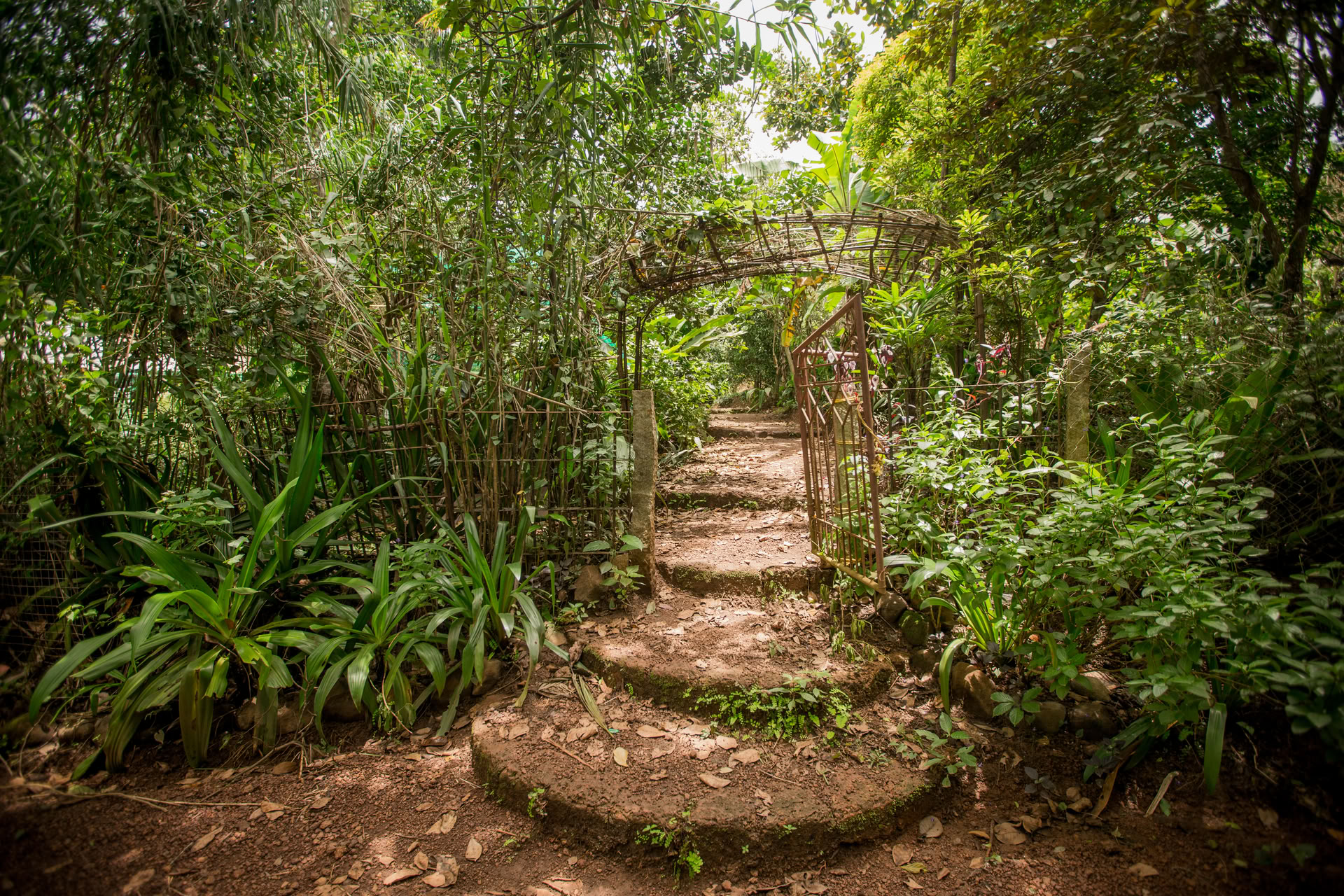 Saundarya Yoga Retreat