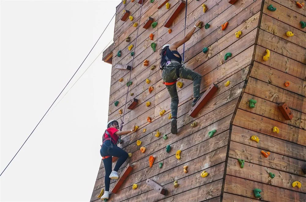 High Impact Team-Building