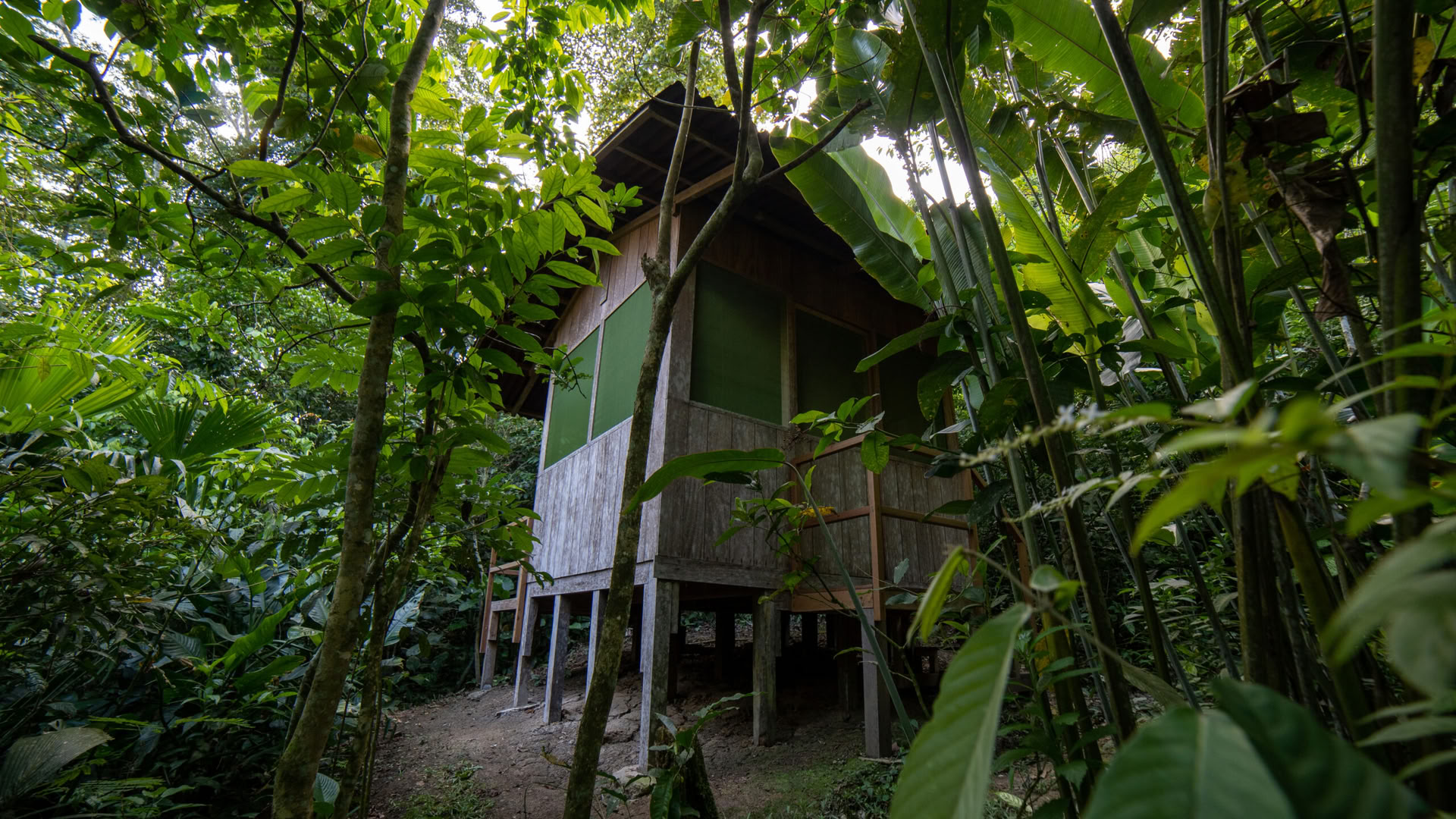 10 Day Retreat