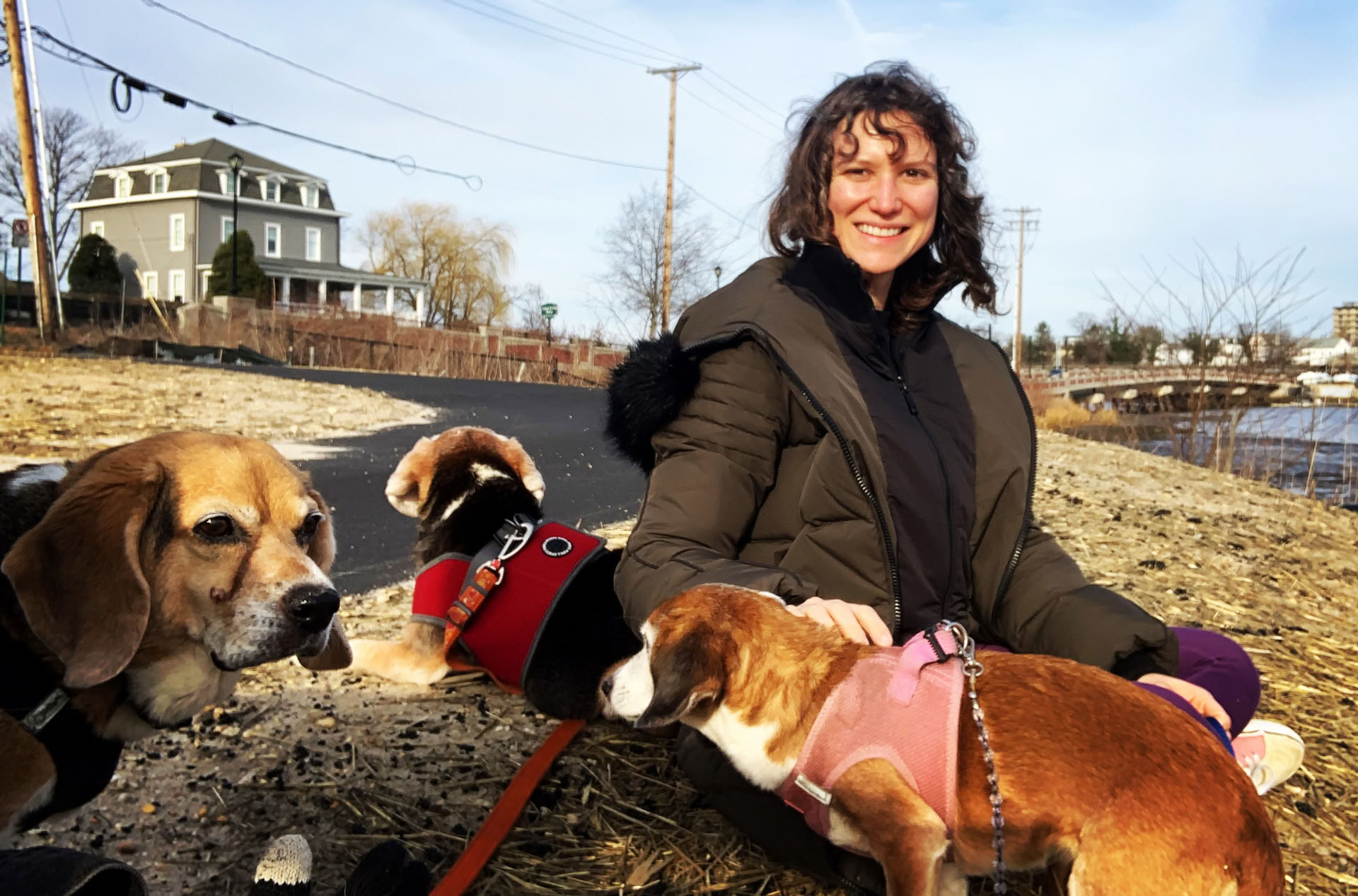 Animal Reiki