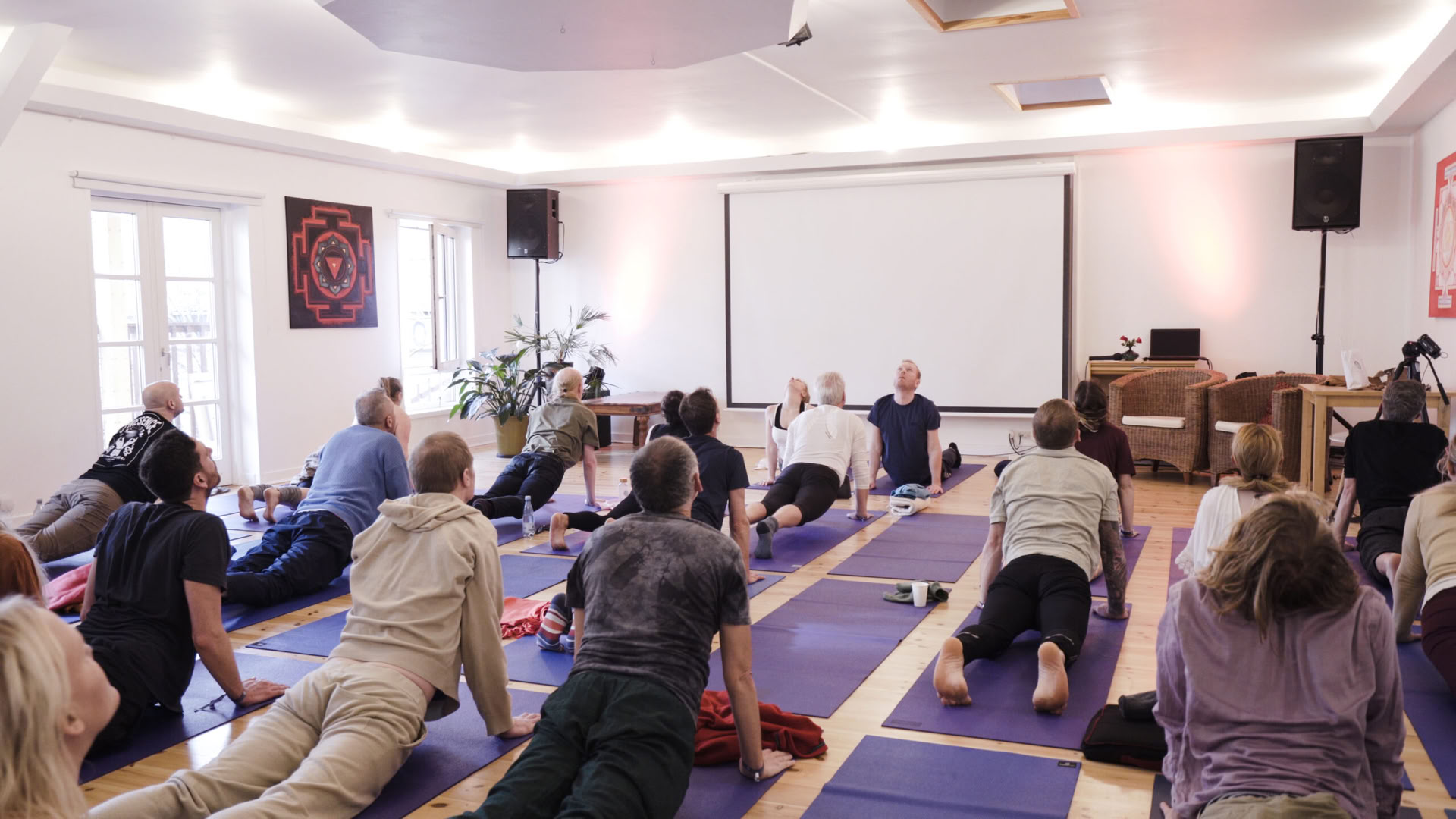 Level 1 Yoga
