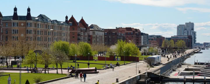Yoga in the Park: Islands Brygge