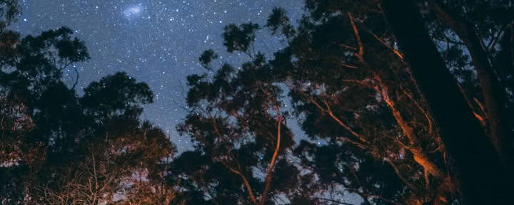 Earth Retreat