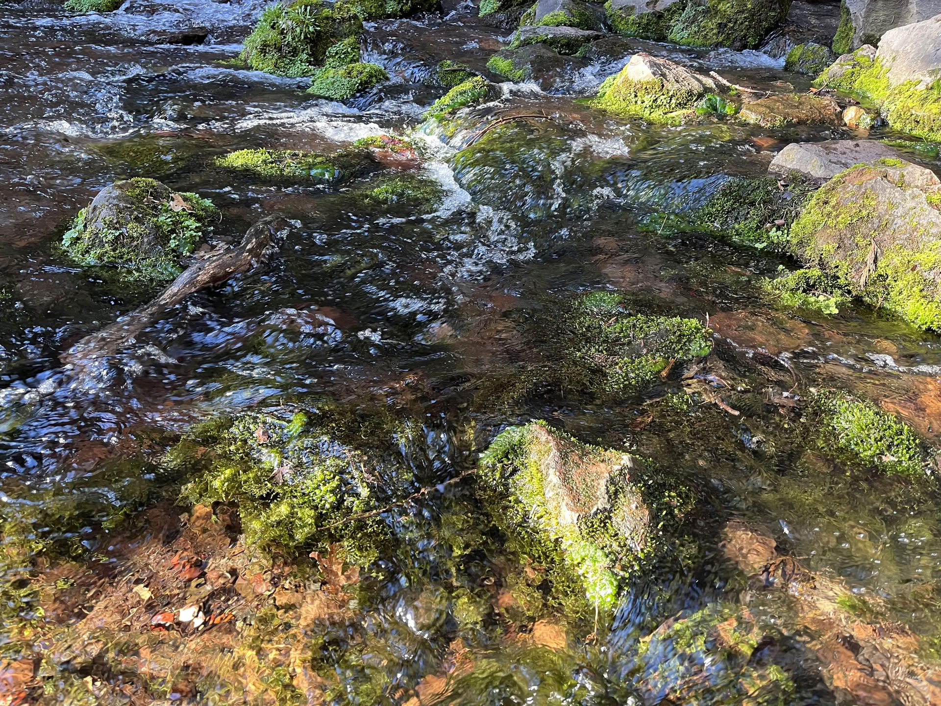 Deep Inner Peace Retreat: Mt. Shasta, CA