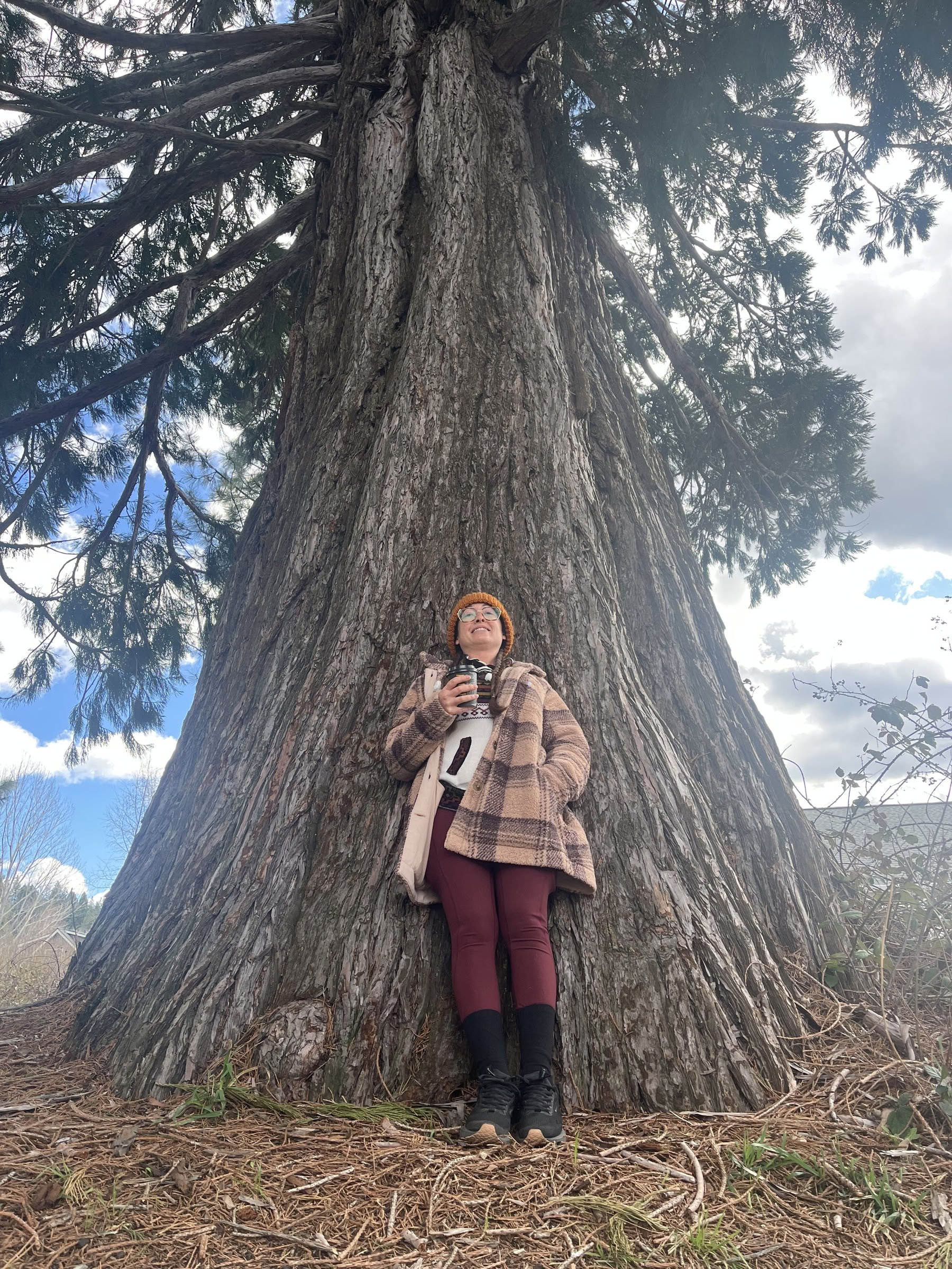 Deep Inner Peace Retreat: Mt. Shasta, CA
