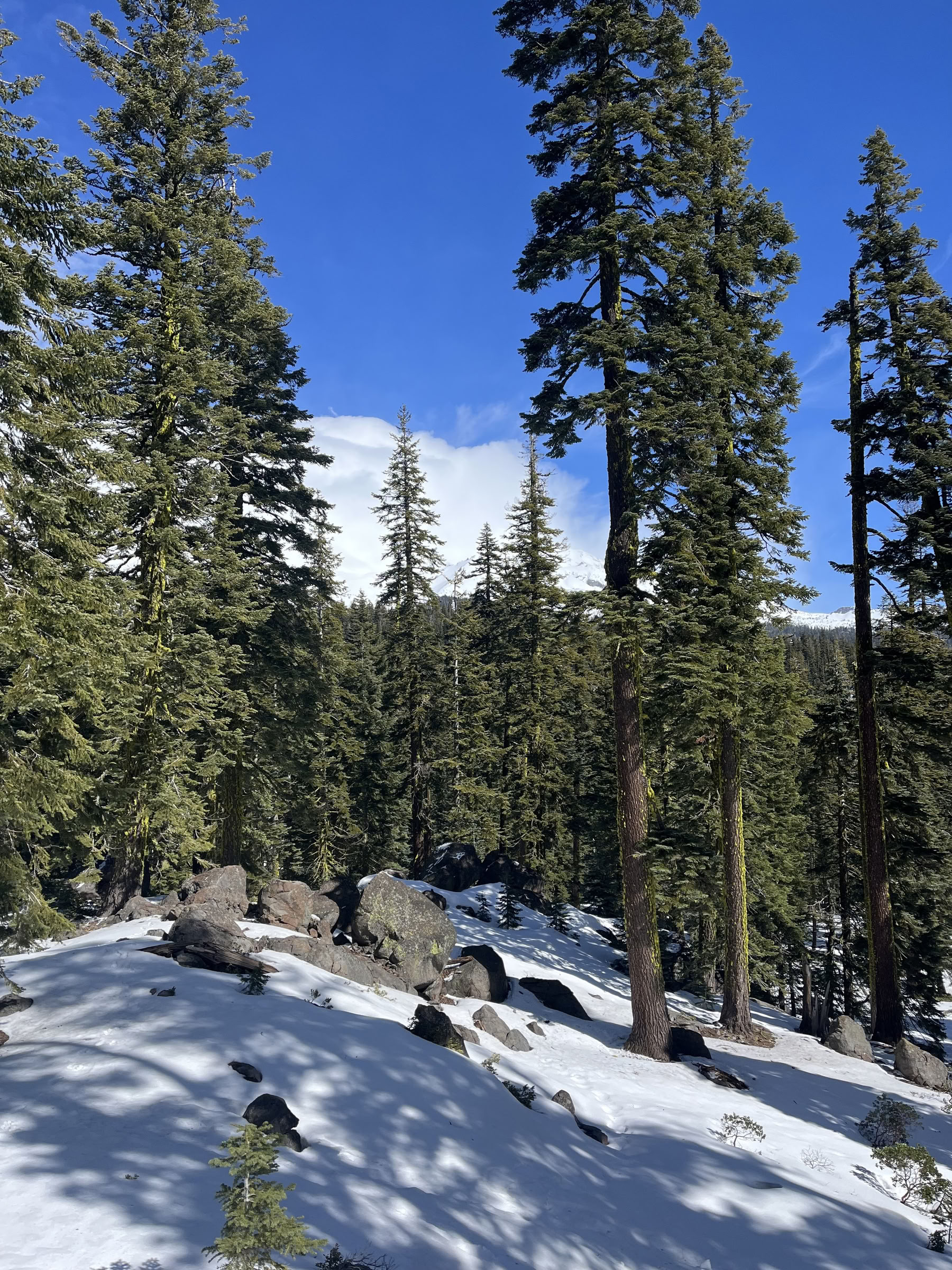 Deep Inner Peace Retreat: Mt. Shasta, CA