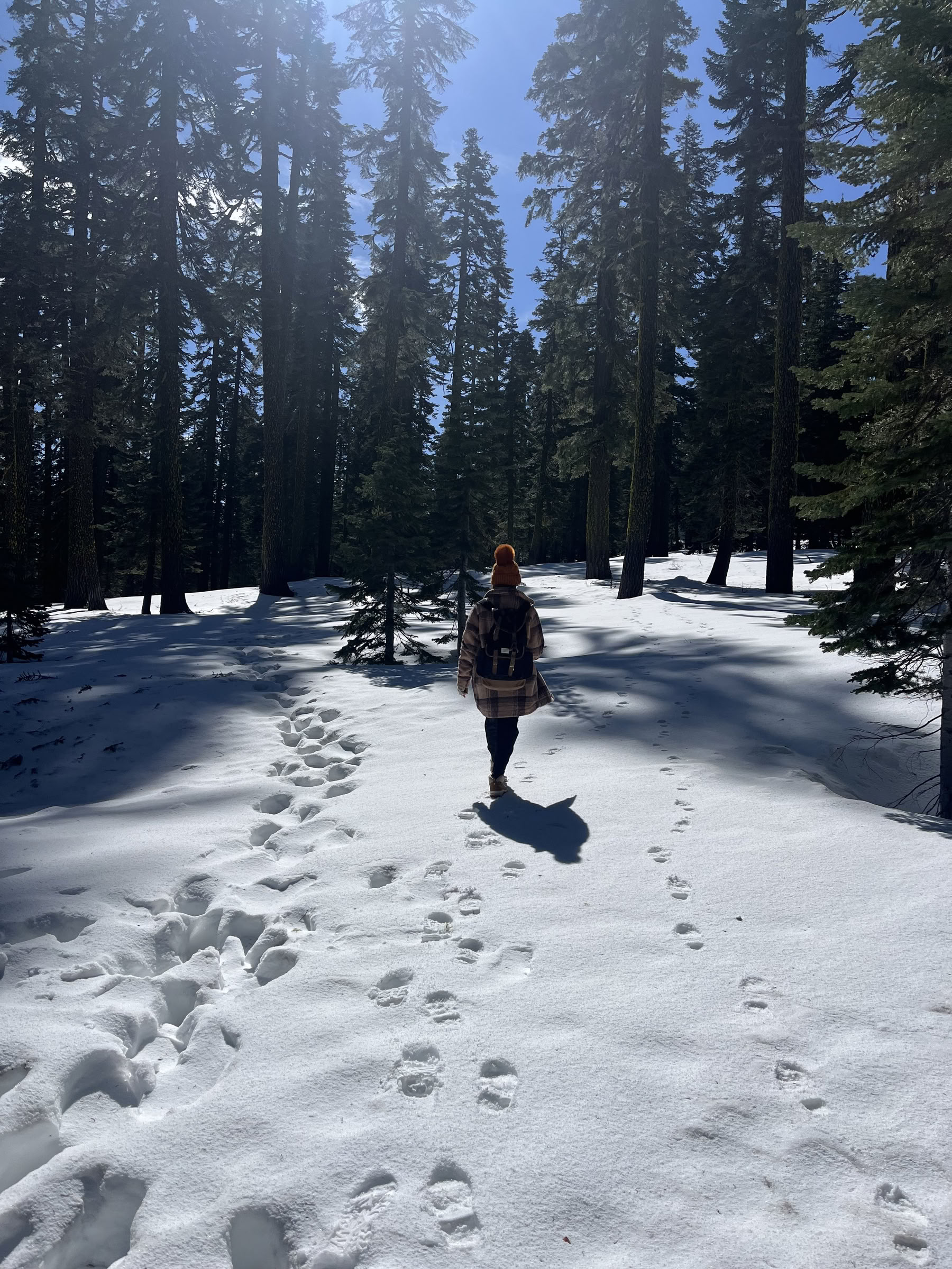 Deep Inner Peace Retreat: Mt. Shasta, CA