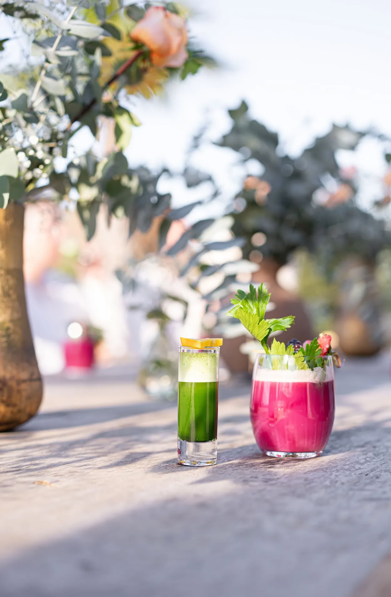 Detox Deluxe Retreat October