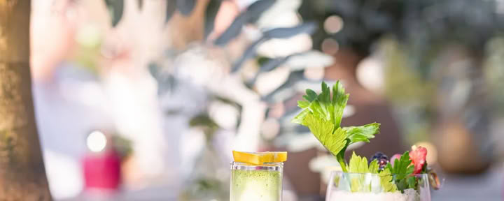 Detox Deluxe Retreat October