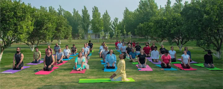 Yog-Vipassana Retreat in July, 2026
