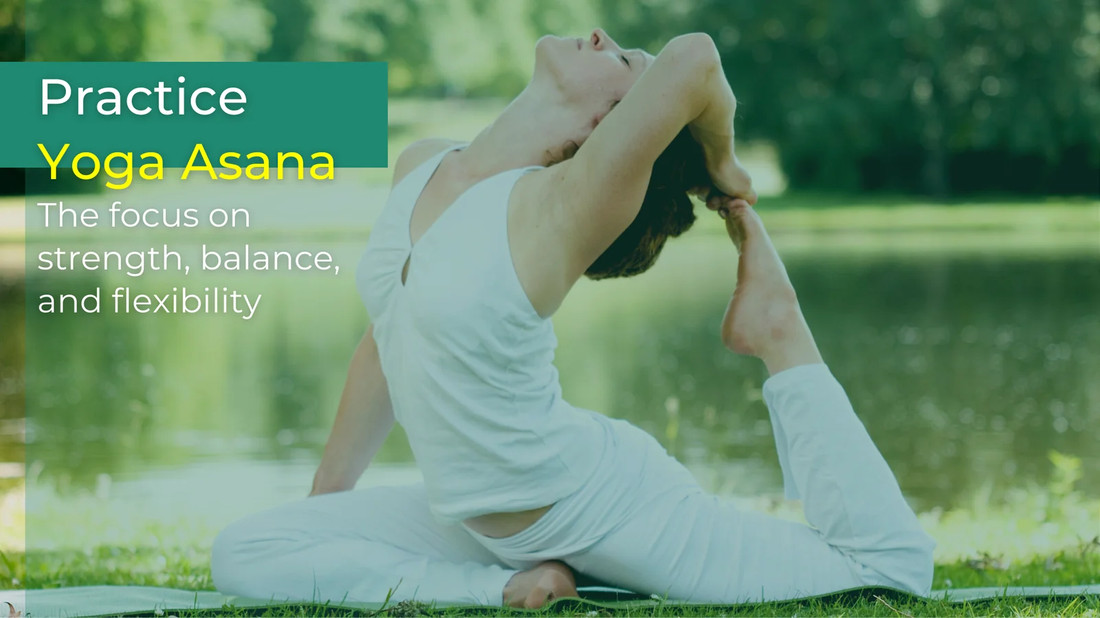 Yoga Retreat in The Netherlands: 3 days of bliss