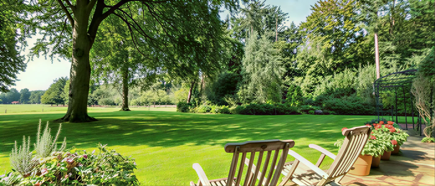Yoga Retreat in The Netherlands: 3 days of bliss