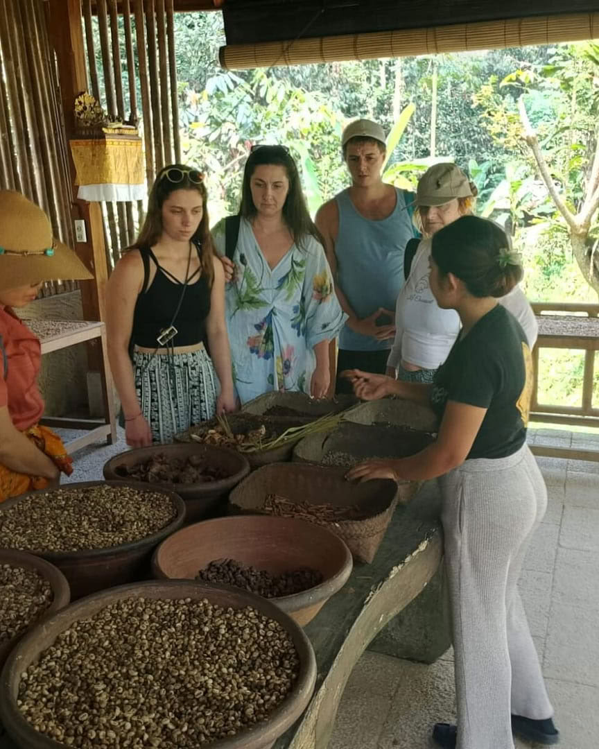 Coffee plantation