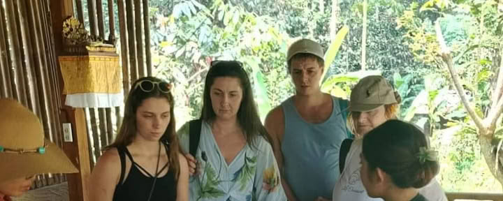 Coffee plantation