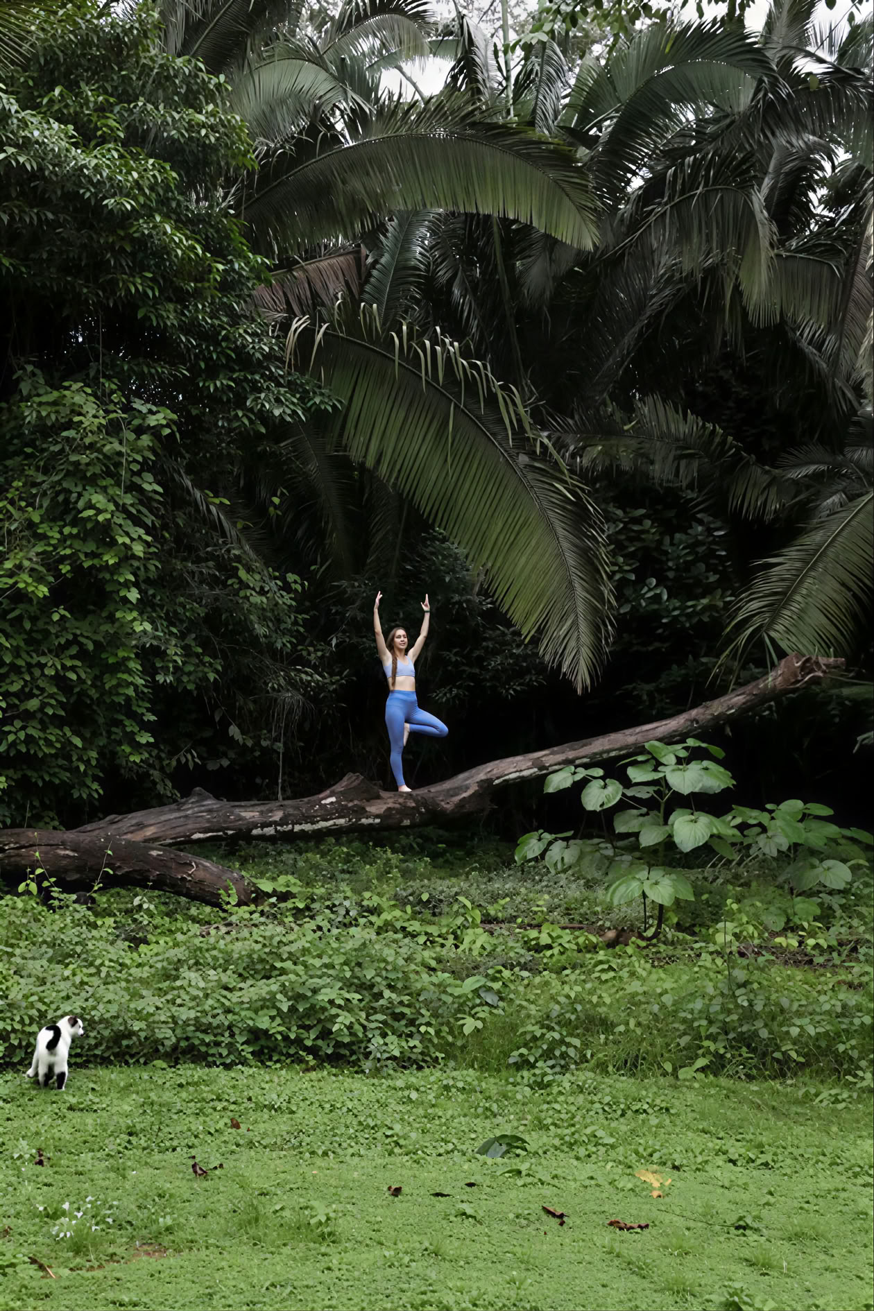 Rainforest Yoga Retreat