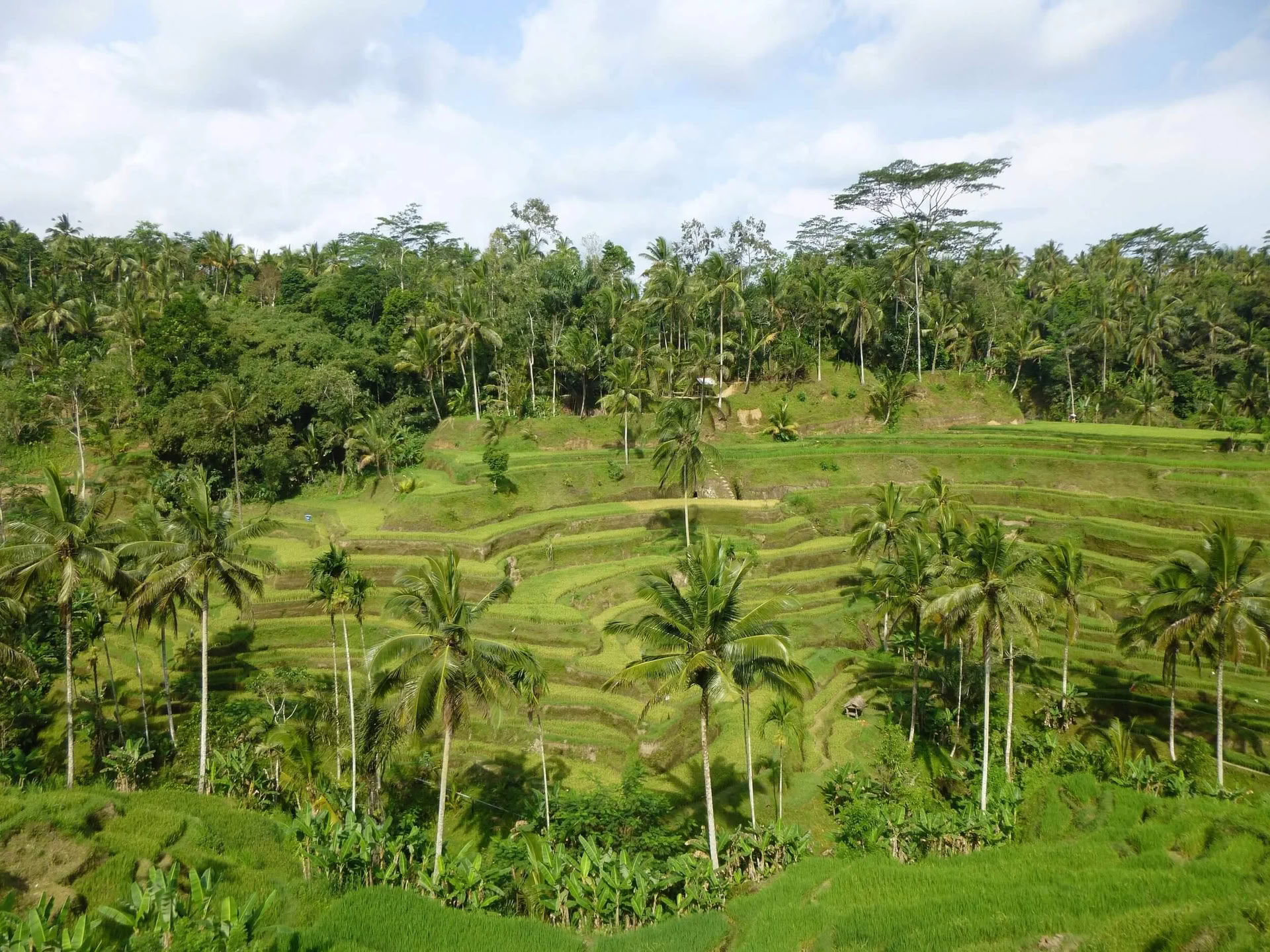 Me-Time. My Way. Wellness Retreat in Bali