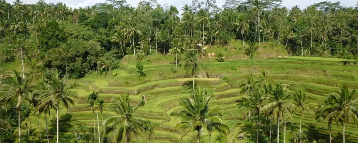 Me-Time. My Way. Wellness Retreat in Bali