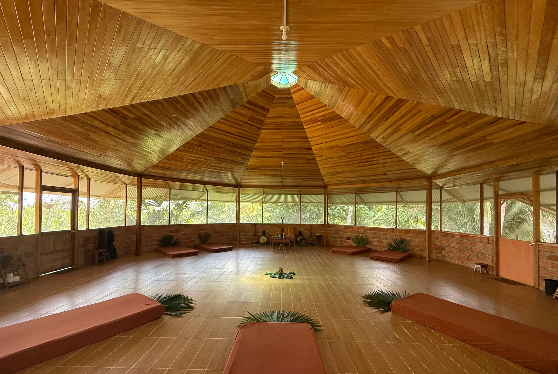 8-DAY MEDICINE & ART RETREAT