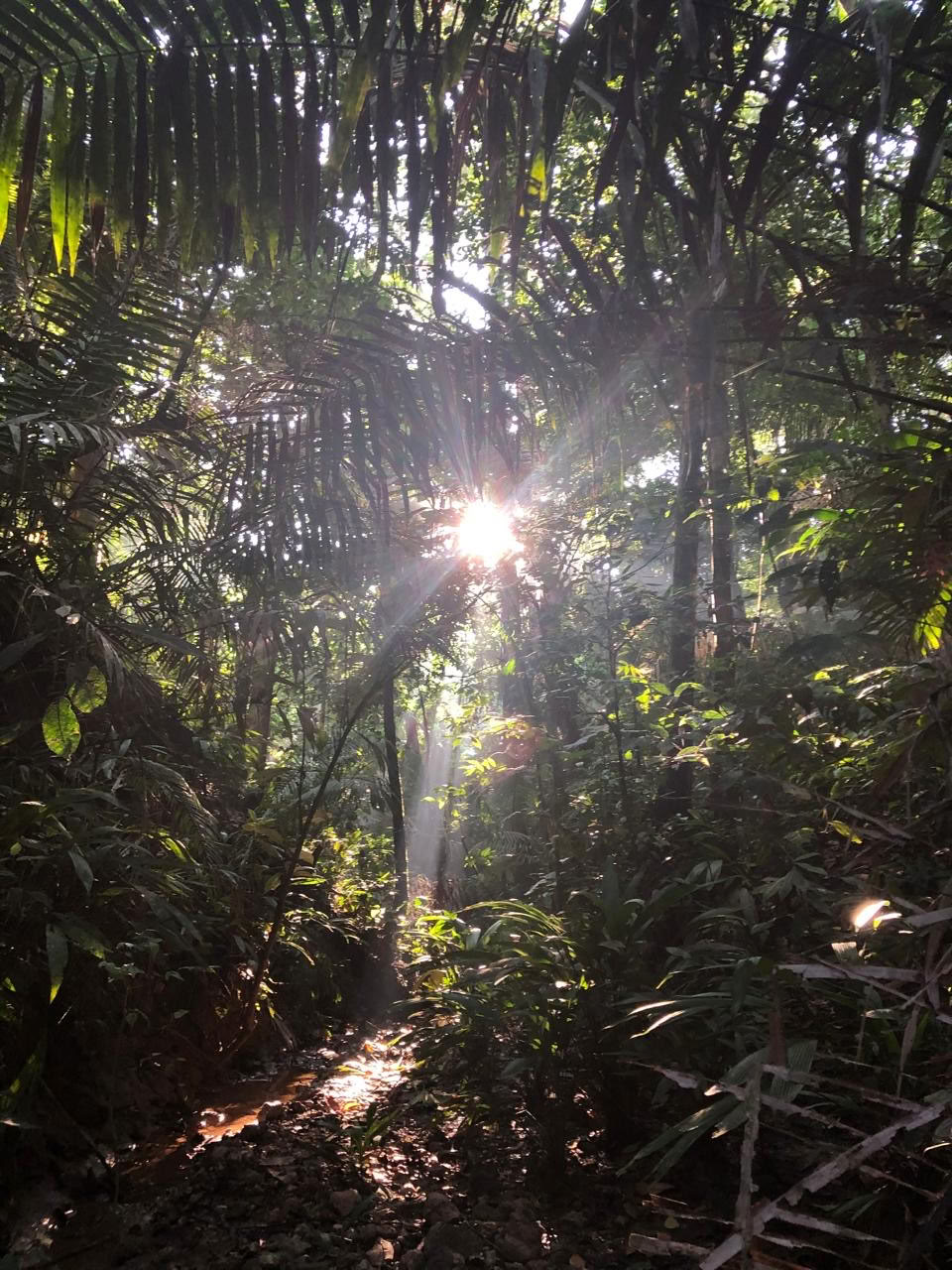 15-DAY RETREAT: ROOTS OF TRANSFORMATION