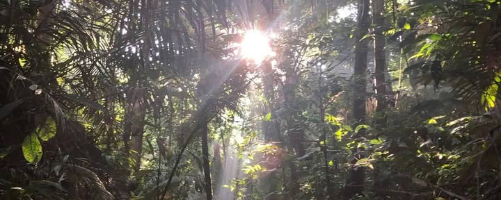 15-DAY RETREAT: ROOTS OF TRANSFORMATION