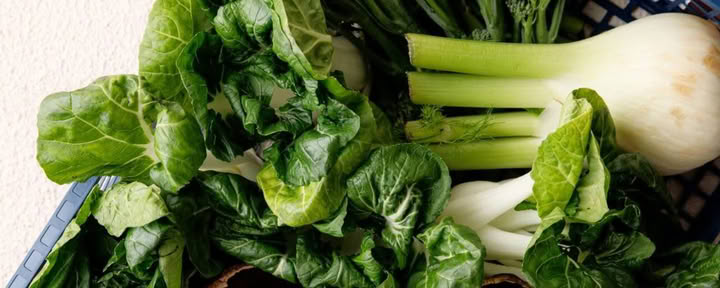 Holistic Detox Program