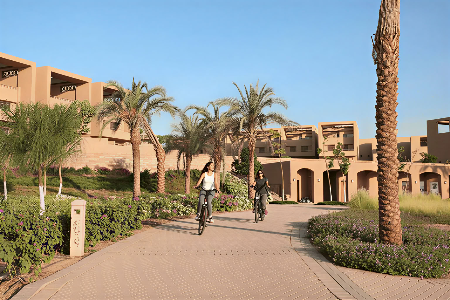 The Zen Sail
