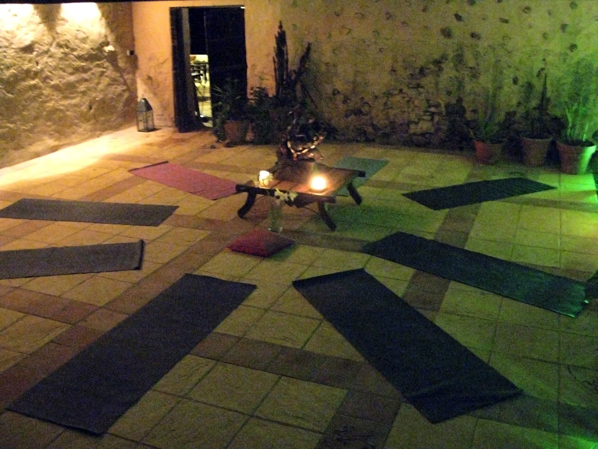 Wellness Yoga Retreat with Lilly