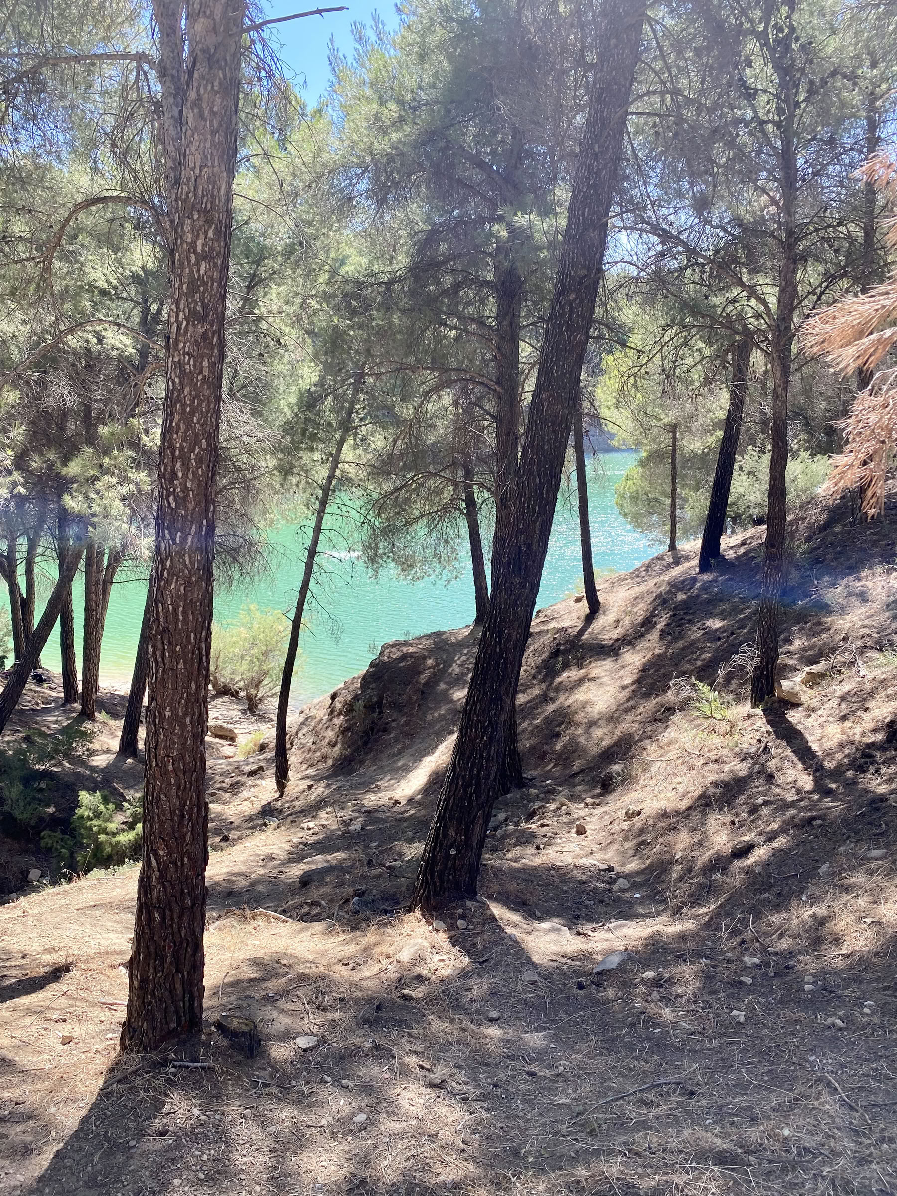 Yoga Retreat – Valle de Vida, Spain | June 2026
