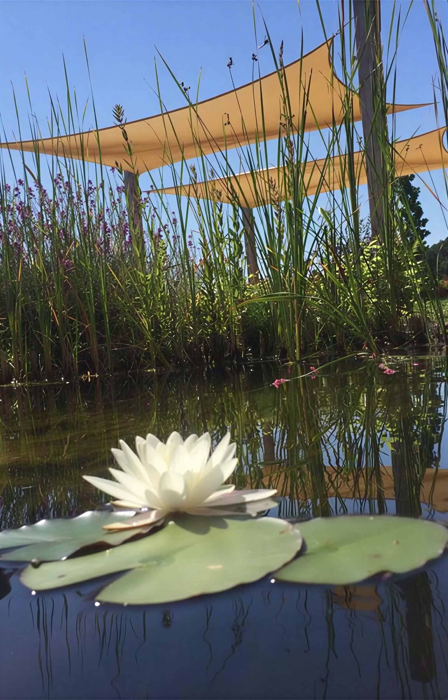 Art With Chi Retreat