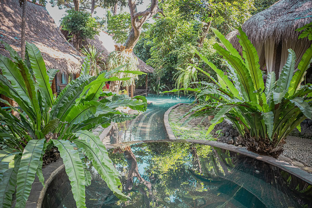 Package 3: Healing Journey: "Cleansing and Purification" (3 days / 2 nights)