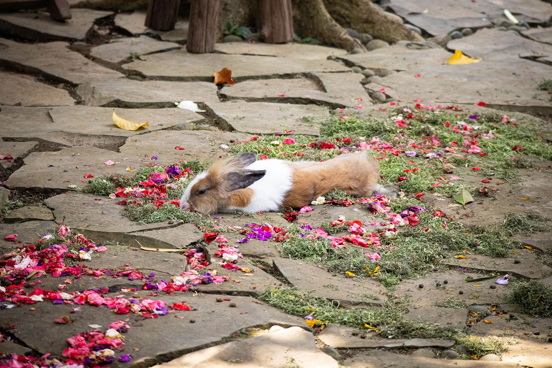 Package 3: Healing Journey: "Cleansing and Purification" (3 days / 2 nights)