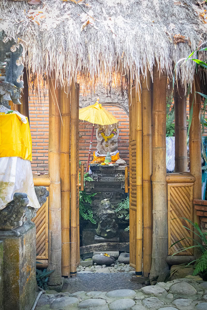 Package 3: Healing Journey: "Cleansing and Purification" (3 days / 2 nights)