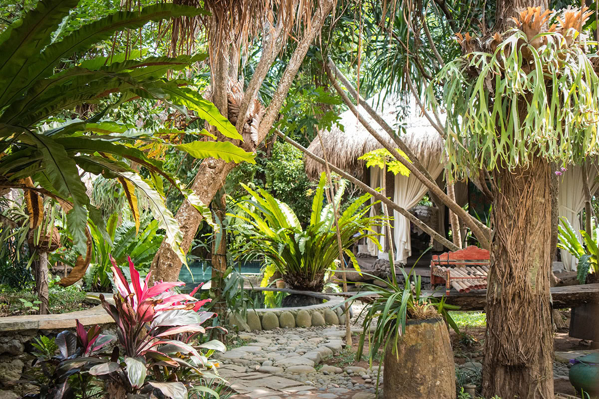 Package 3: Healing Journey: "Cleansing and Purification" (3 days / 2 nights)