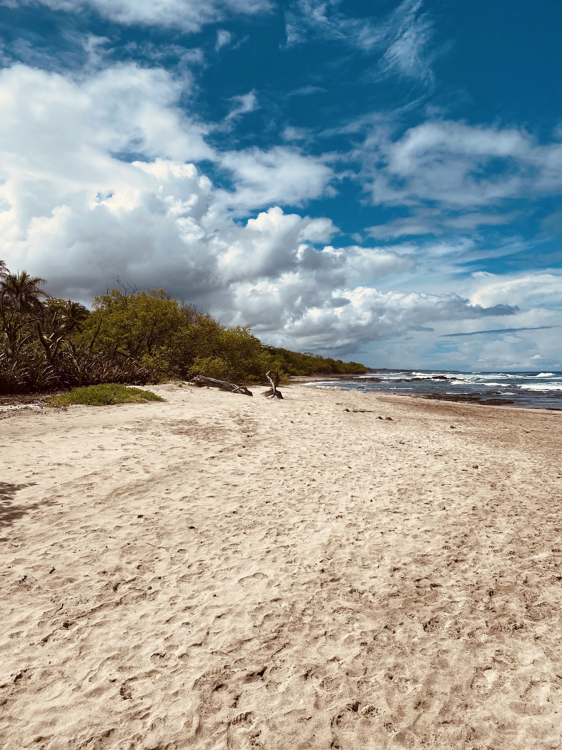 Prana Power Yoga Teacher Training