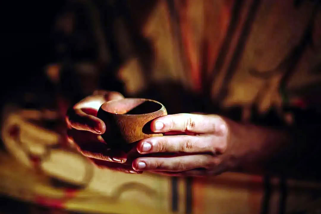 Ayahuasca Retreat for Gay and LGBTQ