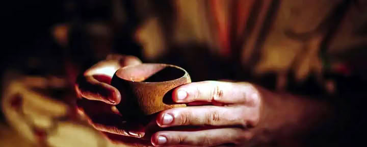 Ayahuasca Retreat for Gay and LGBTQ