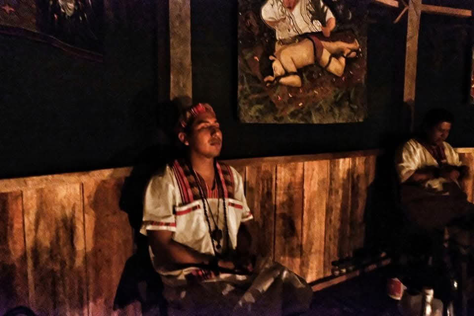 30 day Ayahuasca Retreat 16 ceremonies and Dieta Iquitos-Peru