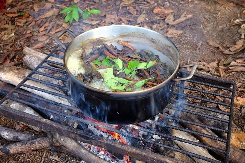 7 days Ayahuasca Retreat Iquitos Peru