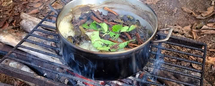 12 days Ayahuasca Retreat Peru at Selva Madre