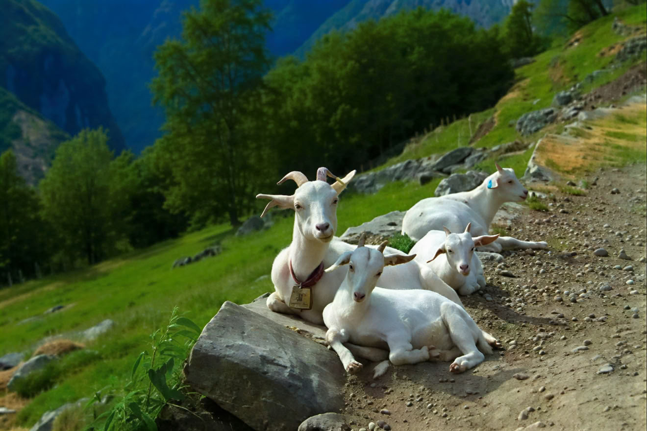 Norway Yoga Retreat