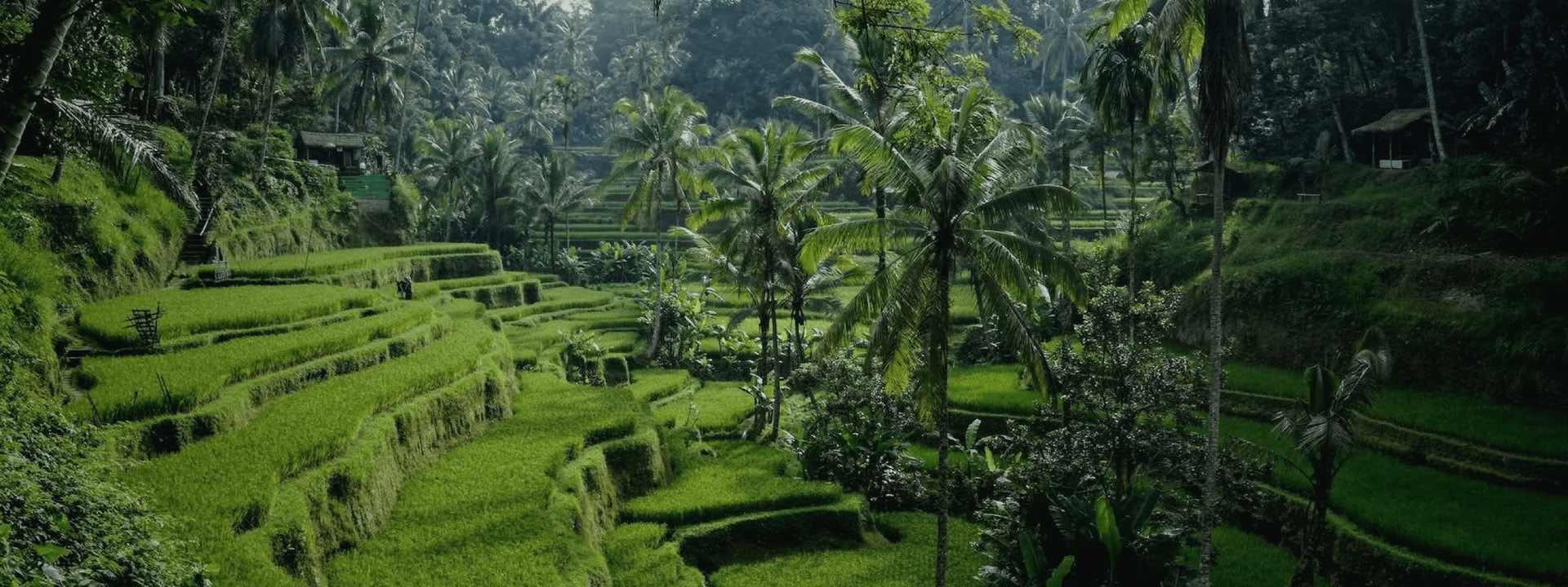 Bali Bound: Journey to Inner Peace