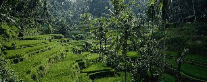 Bali Bound: Journey to Inner Peace