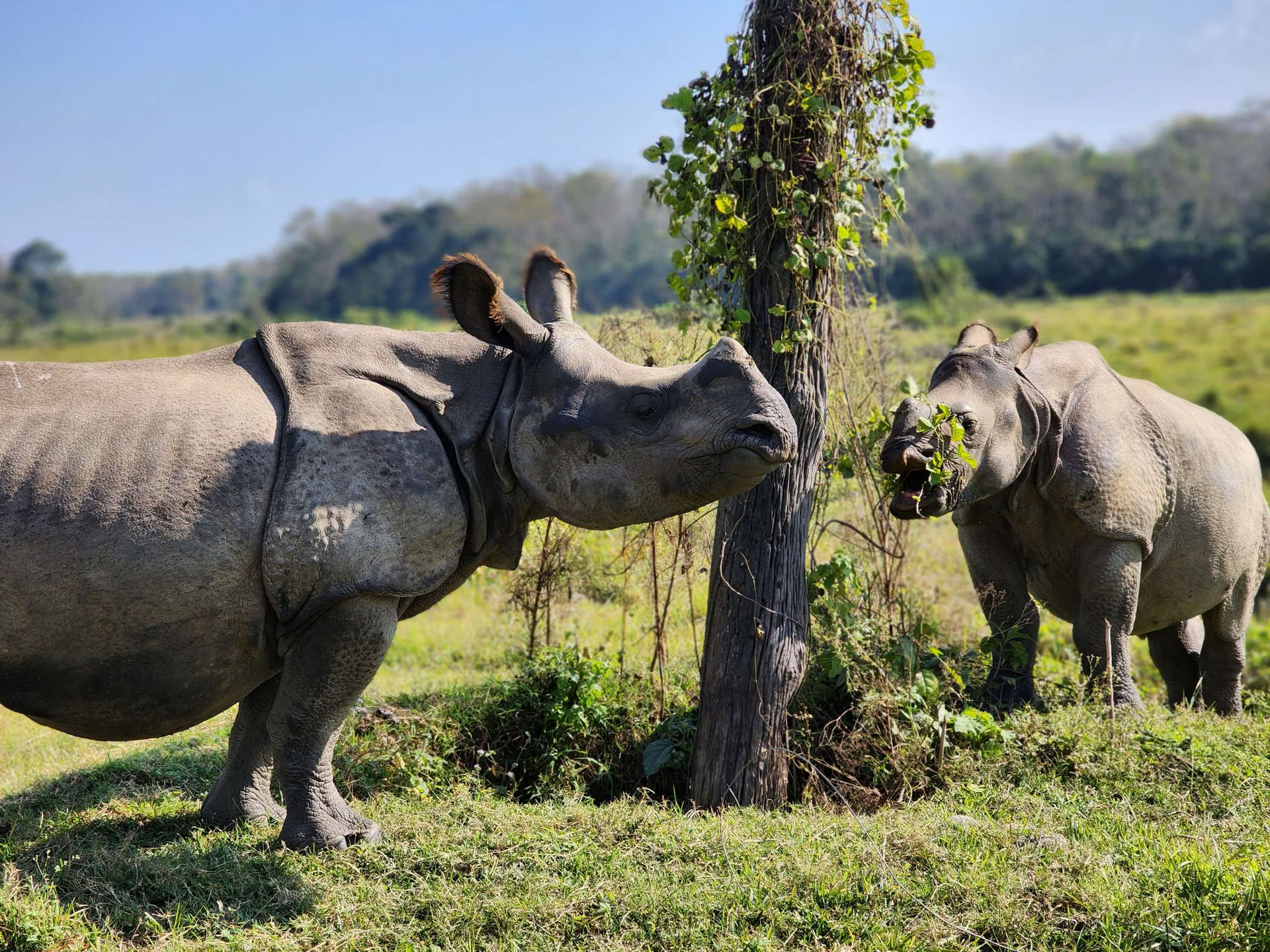 Poon Hill to Chitwan - Yoga . Hike . Breathwork (2026 WAITLIST)