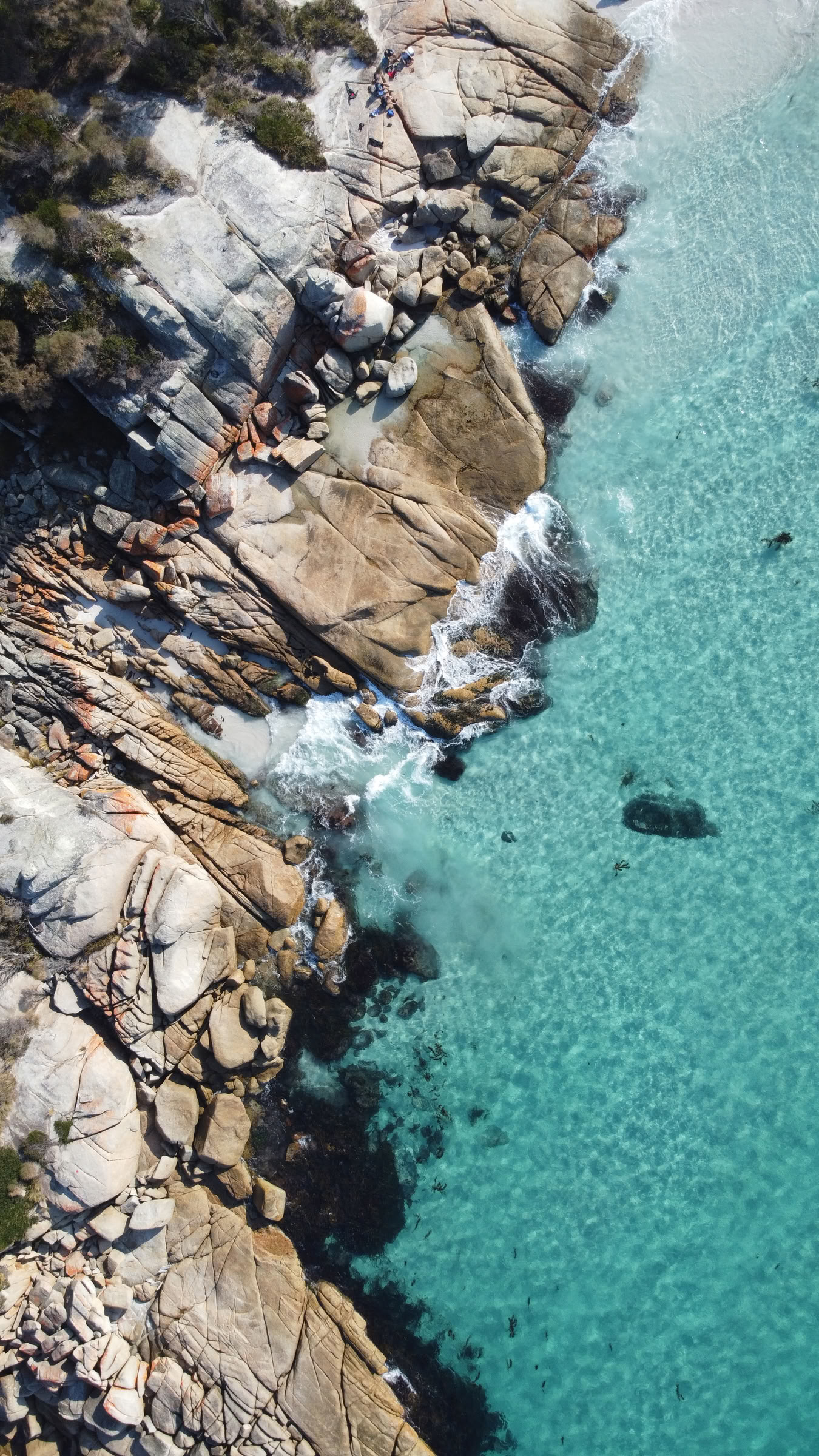 Tasmania, Yoga & Hike