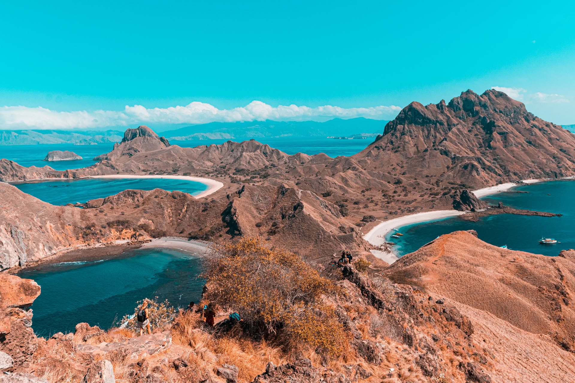 Komodo Islands Yoga & Freediving Adventure