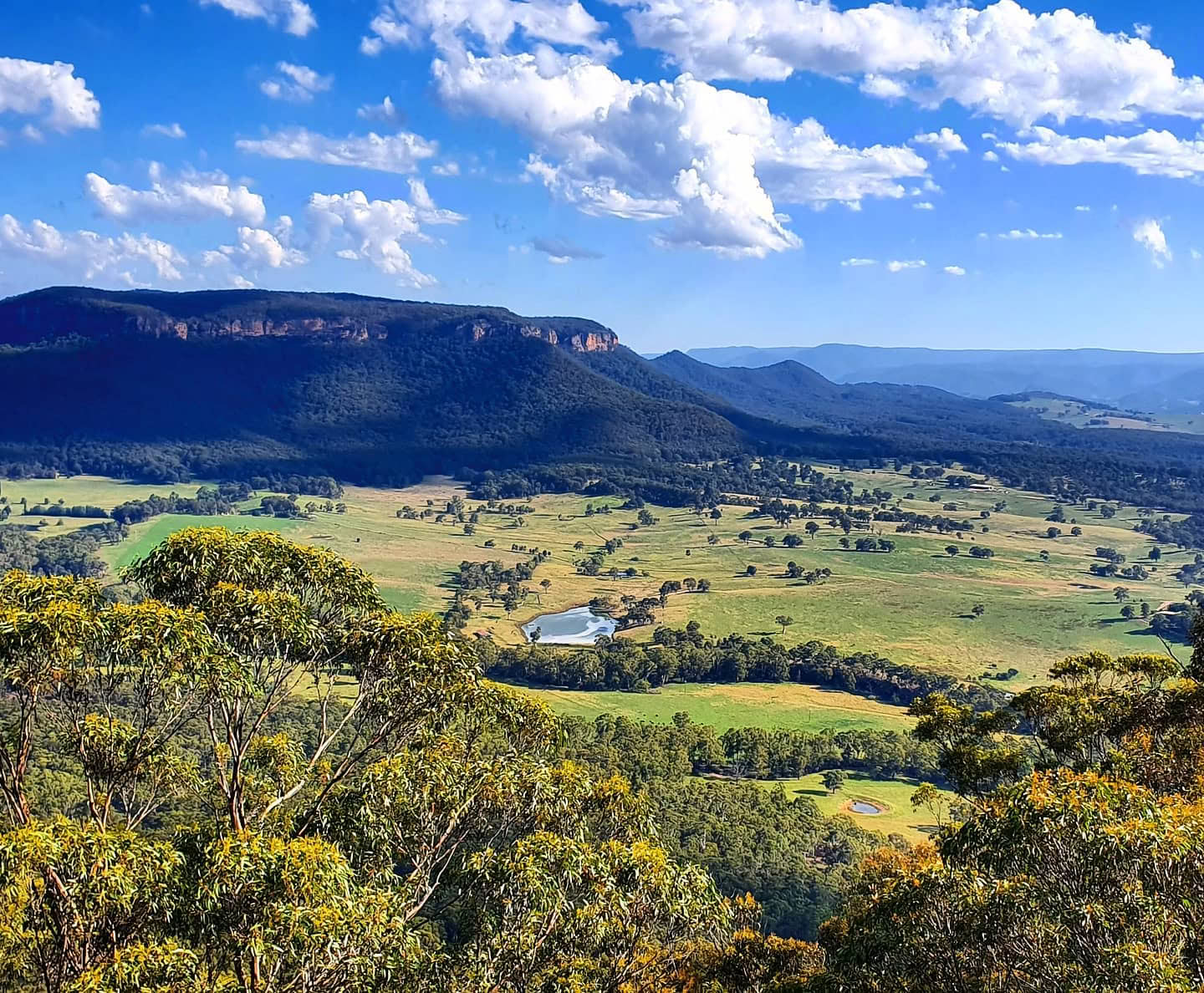 Blue Mountains Yoga, Climb And Japanese